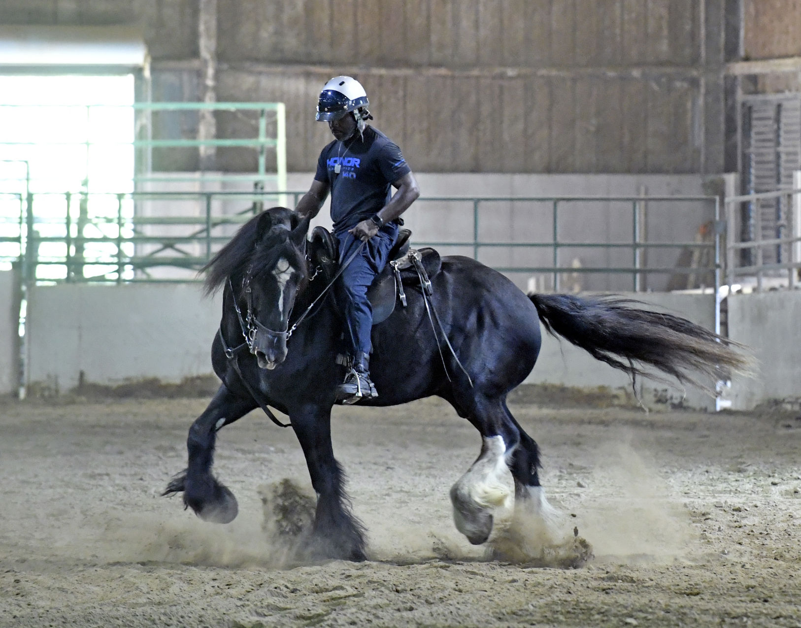 BR.brpdhorses.adv HS 029.JPG